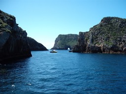 Poor Knights Islands