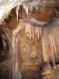 Chifley Cave, Jenolan
