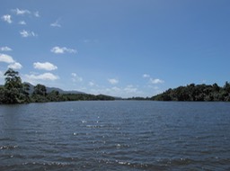 Daintree River
