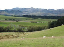 Before Hanmer Springs