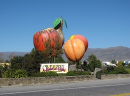 Cromwell Fruit Salad