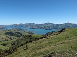 Banks Peninsula