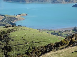 Banks Peninsula