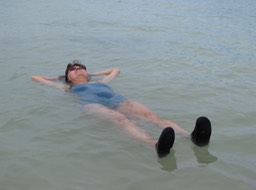 Dead Turtle with Shoes and Shades