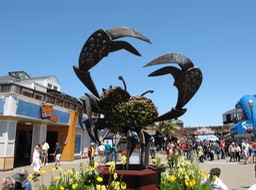 Fisherman's Wharf