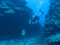 L'abominable monstre des mers