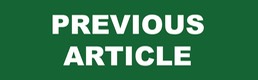 Previous Article icon